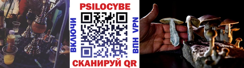 где купить наркотик  Вязники  Псилоцибиновые грибы Cubensis 
