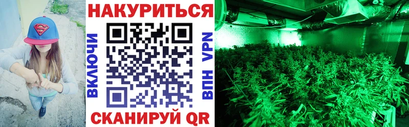 Шишки марихуана OG Kush Вязники
